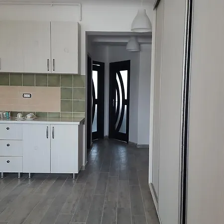 Pipera Park Lake View Apartment